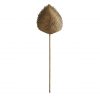 Бра ARTERIORS MYRTLE SCONCE