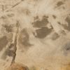 Декоративный стол Phillips Collection Petrified Wood Beverage Table