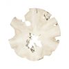 Коктейльный стол Phillips Collection Bleached Slice Coffee Table