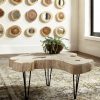 Коктейльный стол Phillips Collection Bleached Slice Coffee Table