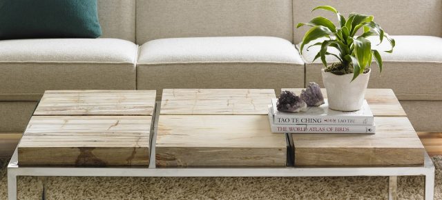 Коктейльный стол Phillips Collection Petrified Wood Coffee Table