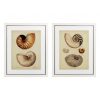 Настенный декор EICHHOLTZ Prints Antique Nautilus set of 2