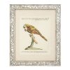 Настенный декор EICHHOLTZ Prints Dunbar I set of 4 Birds