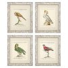 Настенный декор EICHHOLTZ Prints Dunbar I set of 4 Birds