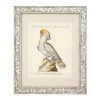 Настенный декор EICHHOLTZ Prints Dunbar I set of 4 Birds