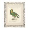 Настенный декор EICHHOLTZ Prints Dunbar I set of 4 Birds