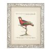 Настенный декор EICHHOLTZ Prints Dunbar I set of 4 Birds