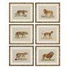 Настенный декор EICHHOLTZ Prints Lion