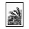 Настенный декор EICHHOLTZ Prints Palm Leaves set of 2