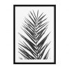 Настенный декор EICHHOLTZ Prints Palm Leaves set of 2