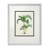 Настенный декор EICHHOLTZ Prints Palms set of 4