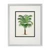 Настенный декор EICHHOLTZ Prints Palms set of 4