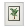 Настенный декор EICHHOLTZ Prints Palms set of 4
