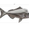 Настенный декор Phillips Collection Australian Snapper Wall Sculpture Silver