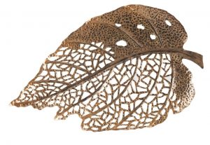 Настенный декор Phillips Collection Birch Leaf Wall Art