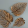 Настенный декор Phillips Collection Birch Leaf Wall Art