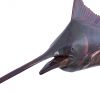 Настенный декор Phillips Collection Blue Marlin Wall Sculpture Maroon