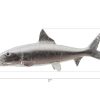 Настенный декор Phillips Collection Bonefish Wall Sculpture Silver