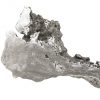Настенный декор Phillips Collection Burled Root Wall Art Medium Silver