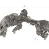 Настенный декор Phillips Collection Burled Root Wall Art Medium Silver