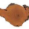 Настенный декор Phillips Collection Burled Root Wall Art Small Brown