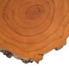 Настенный декор Phillips Collection Burled Root Wall Art Small Brown
