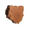Настенный декор Phillips Collection Burled Root Wall Art Small Brown