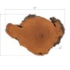 Настенный декор Phillips Collection Burled Root Wall Art Small Brown