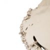 Настенный декор Phillips Collection Burled Root Wall Art Small Silver