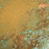 Настенный декор Phillips Collection Button Wall Tile Shallow Lichen