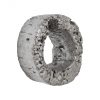 Настенный декор Phillips Collection Cast Eroded Wood Circle Single-Hole Wall Tile