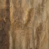 Настенный декор Phillips Collection Cast Petrified Wood Square Wall Tile