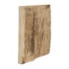 Настенный декор Phillips Collection Cast Petrified Wood Square Wall Tile