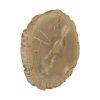 Настенный декор Phillips Collection Cast Petrified Wood Wall Art Beige