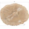 Настенный декор Phillips Collection Cast Petrified Wood Wall Art Beige