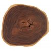 Настенный декор Phillips Collection Chuleta Wall Art Faux Bois