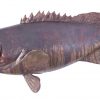 Настенный декор Phillips Collection Estuary Cod Fish Wall Sculpture Copper Patina