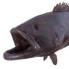 Настенный декор Phillips Collection Estuary Cod Fish Wall Sculpture Copper Patina