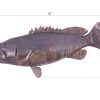 Настенный декор Phillips Collection Estuary Cod Fish Wall Sculpture Copper Patina