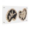 Настенный декор Phillips Collection Floating Petrified Double Slice Wall Art