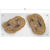Настенный декор Phillips Collection Floating Petrified Double Slice Wall Art