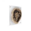 Настенный декор Phillips Collection Floating Petrified Slice Wall Art