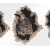 Настенный декор Phillips Collection Floating Petrified Triple Slice Wall Art