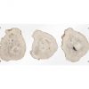 Настенный декор Phillips Collection Floating Petrified Triple Slice Wall Art