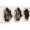 Настенный декор Phillips Collection Floating Petrified Triple Slice Wall Art