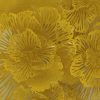 Настенный декор Phillips Collection Flower Wall Art Dandelion
