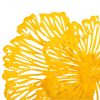 Настенный декор Phillips Collection Flower Wall Art Dandelion