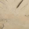 Настенный декор Phillips Collection Freeform Wall Art Roman Stone