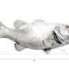 Настенный декор Phillips Collection Large-Mouth Bass Wall Sculpture Silver