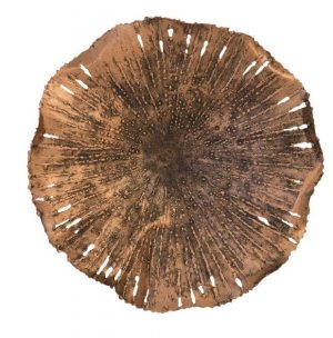 Настенный декор Phillips Collection Lotus Wall Art Copper